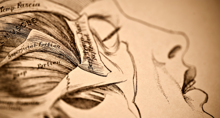 Anatomy of Surrender